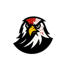 Veteran Gaming Network